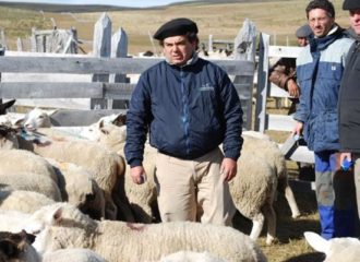 Rodrigo Allende Vargas