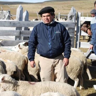 Rodrigo Allende Vargas