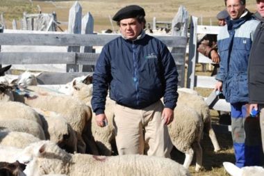 Rodrigo Allende Vargas