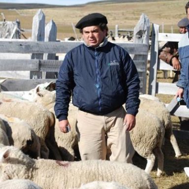 Rodrigo Allende Vargas