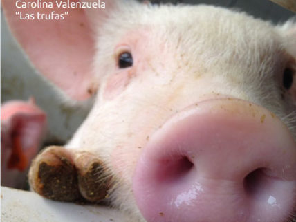 sociedad producción animal sochipa