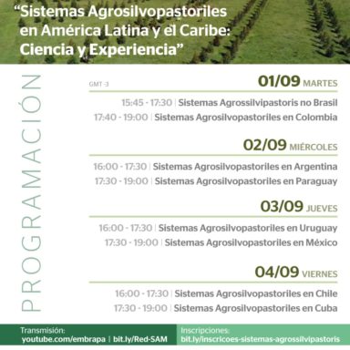 sociedad producción animal sochipa