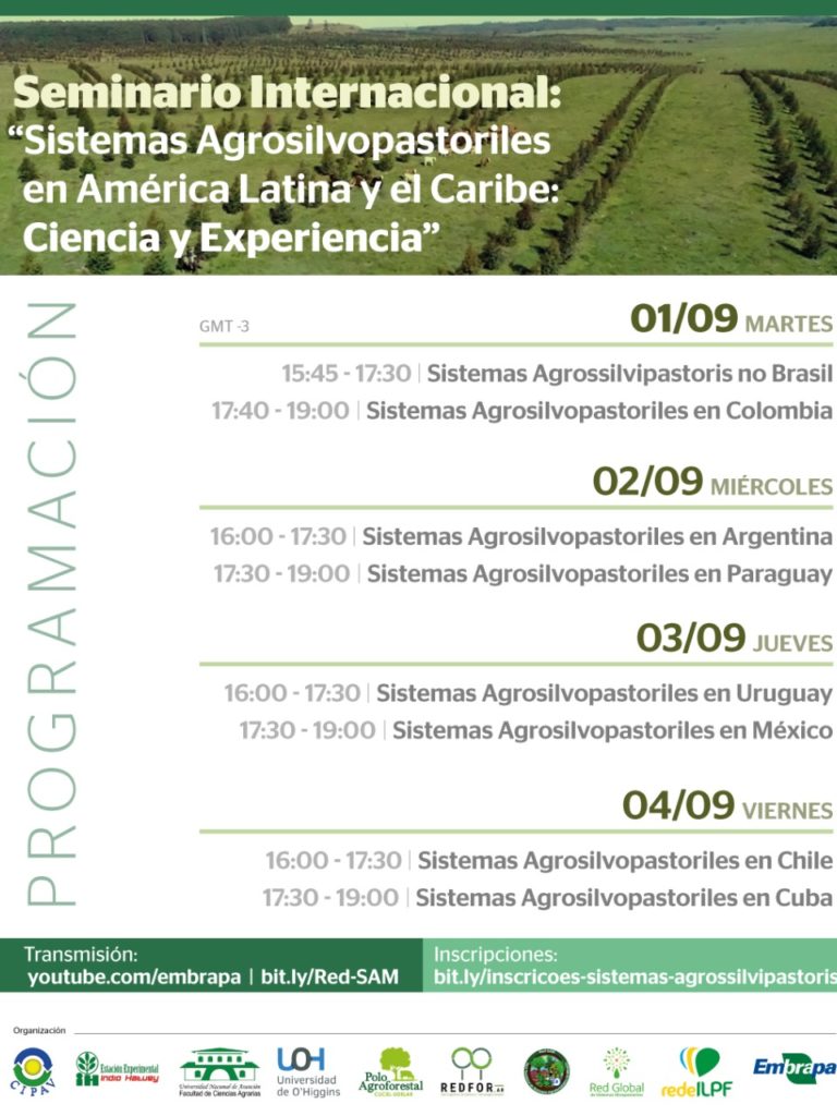 Seminario Internacional Sistemas Agrosilvopastoriles en América Latina y el Caribe sociedad producción animal sochipa