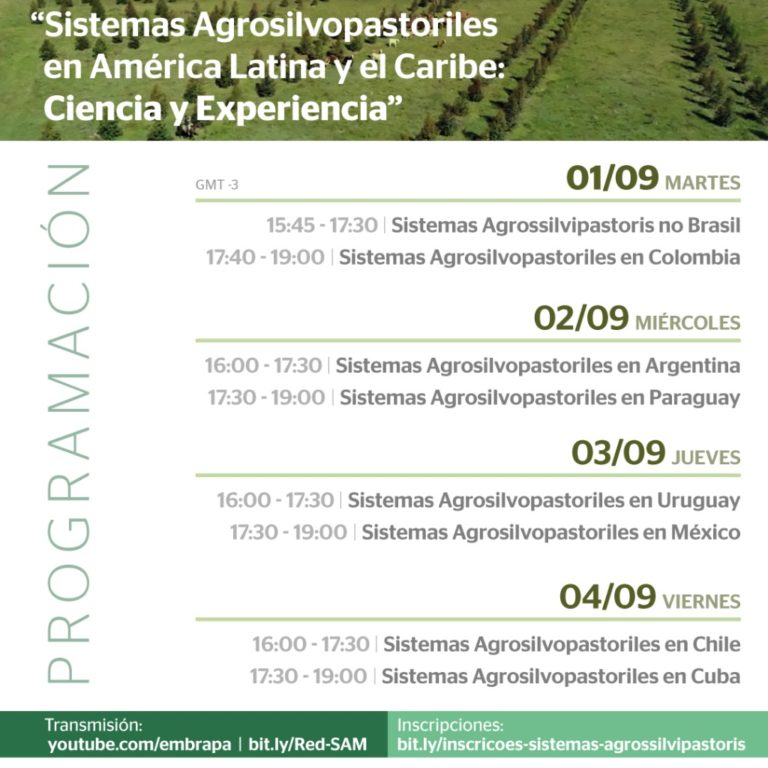 Seminario Internacional Sistemas Agrosilvopastoriles en América Latina y el Caribe sociedad producción animal sochipa