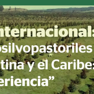 sociedad producción animal sochipa