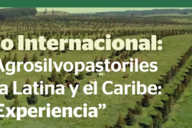 sociedad producción animal sochipa