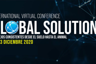conferencia-internacional-Global-Solutions-2020