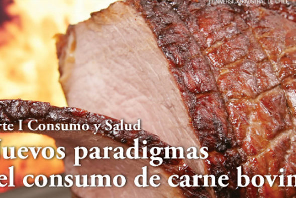 Nuevos paradigmas del consumo de carne bovina