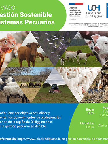 Diplomado en gestion sostenible de sistemas pecuarios Universidad de OHiggins Diplomado en gestion sostenible de sistemas pecuarios Universidad de OHiggins