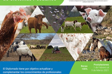 Diplomado en gestion sostenible de sistemas pecuarios Universidad de OHiggins