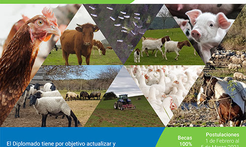 Diplomado en gestion sostenible de sistemas pecuarios Universidad de OHiggins Diplomado en gestion sostenible de sistemas pecuarios Universidad de OHiggins