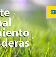 REPORTE SEMANAL CRECIMIENTO PRADERAS