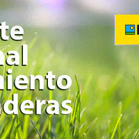 REPORTE SEMANAL CRECIMIENTO PRADERAS