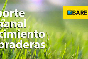 REPORTE SEMANAL CRECIMIENTO PRADERAS