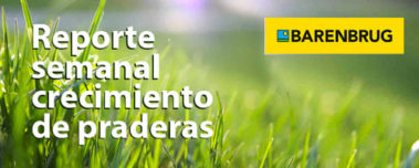 REPORTE SEMANAL CRECIMIENTO PRADERAS