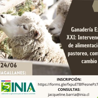 Seminario ganaderia extensiva