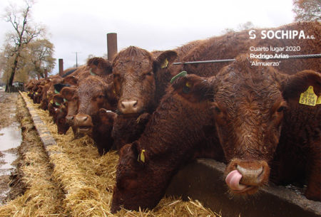Cuarto lugar 2020, Rodrigo Arias «Almuerzo»