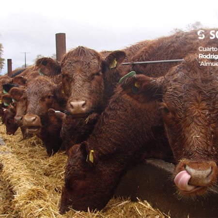 Cuarto lugar 2020, Rodrigo Arias «Almuerzo»