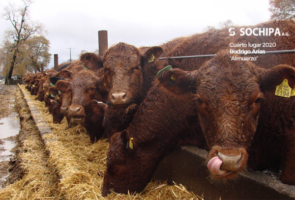 Cuarto lugar 2020, Rodrigo Arias «Almuerzo»