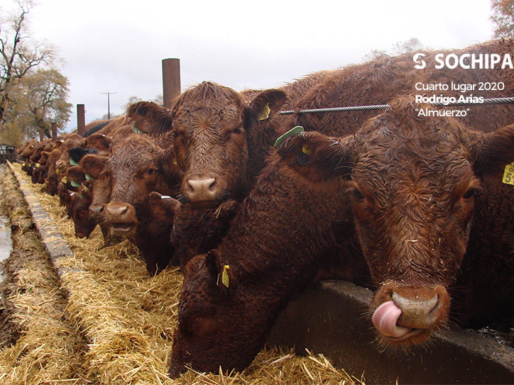 Cuarto lugar 2020, Rodrigo Arias «Almuerzo»