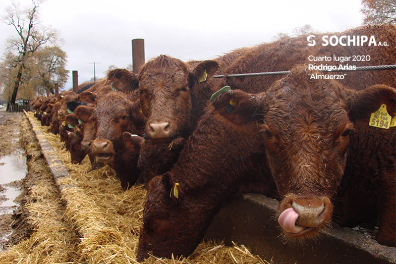 Cuarto lugar 2020, Rodrigo Arias «Almuerzo»