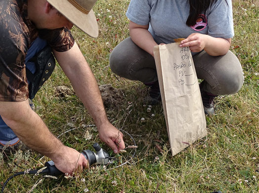 Tercer lugar 2020, Erwin Domínguez "9 pasos"