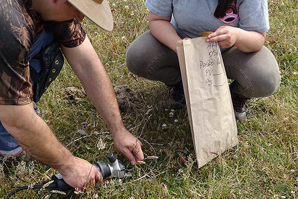 Tercer lugar 2020, Erwin Domínguez "9 pasos"