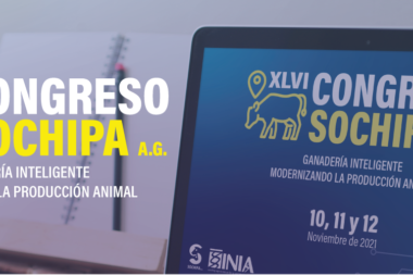 XVLI Congreso Nacional Sochipa 2021