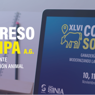 XVLI Congreso Nacional Sochipa 2021