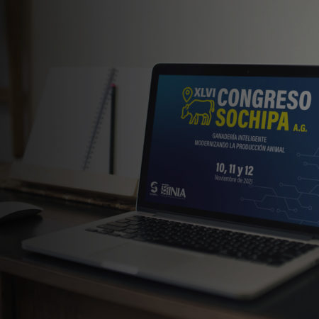BG_congreso_SOCHIPA2021