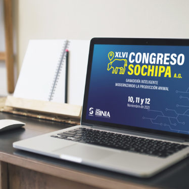 BG_congreso_SOCHIPA2021