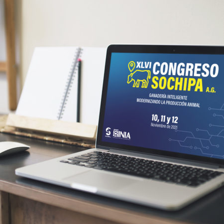 BG_congreso_SOCHIPA2021
