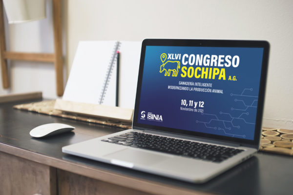 BG_congreso_SOCHIPA2021
