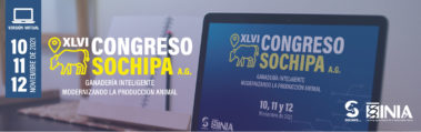XVLI Congreso Nacional Sochipa 2021