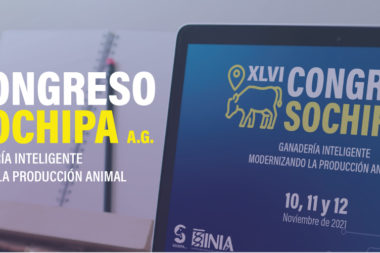 XVLI Congreso Nacional Sochipa 2021