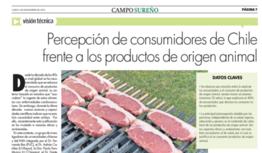 Sochipa Productos de origen animal