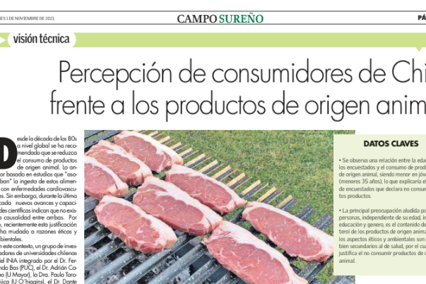 Sochipa Productos de origen animal Sochipa Productos de origen animal