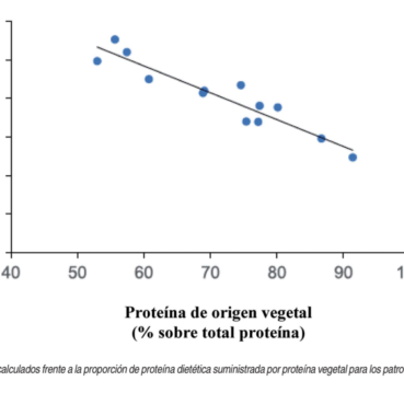 Carne Bovina: una matriz alimentaria que aporta más que sólo proteínas