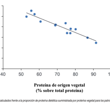 Carne Bovina: una matriz alimentaria que aporta más que sólo proteínas