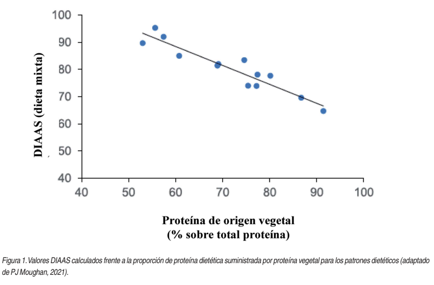 Carne Bovina: una matriz alimentaria que aporta más que sólo proteínas