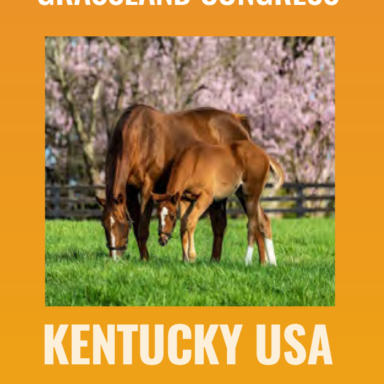 2023 IGC | International Grassland Congress