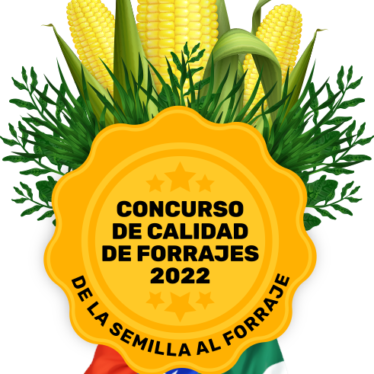 concurso mejor forraje
