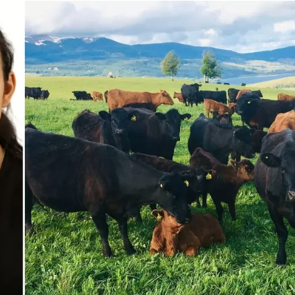 Congreso SOCHIPA abordará la producción animal y las estrategias frente a los nuevos desafíos mundiales