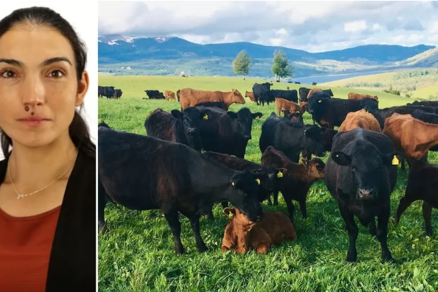 Congreso SOCHIPA abordará la producción animal y las estrategias frente a los nuevos desafíos mundiales