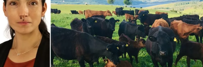 Congreso SOCHIPA abordará la producción animal y las estrategias frente a los nuevos desafíos mundiales