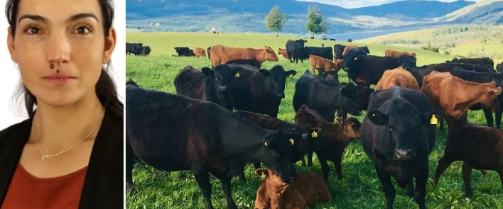 Congreso SOCHIPA abordará la producción animal y las estrategias frente a los nuevos desafíos mundiales