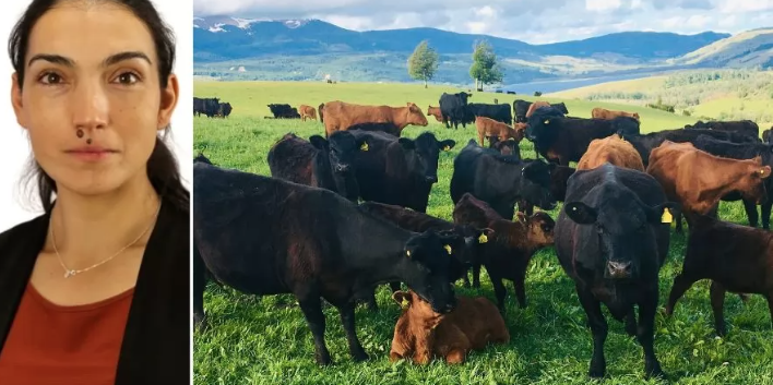 Congreso SOCHIPA abordará la producción animal y las estrategias frente a los nuevos desafíos mundiales