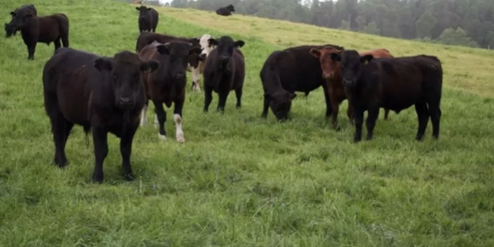 Captura de Pantalla 2022-09-05 a la(s) 22.41.55