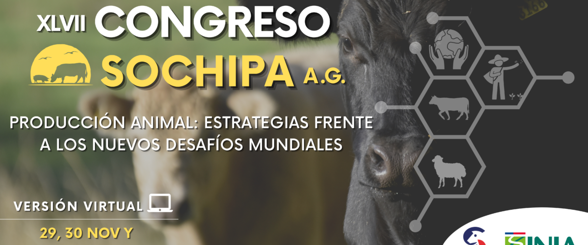banner-congreso-sochipa