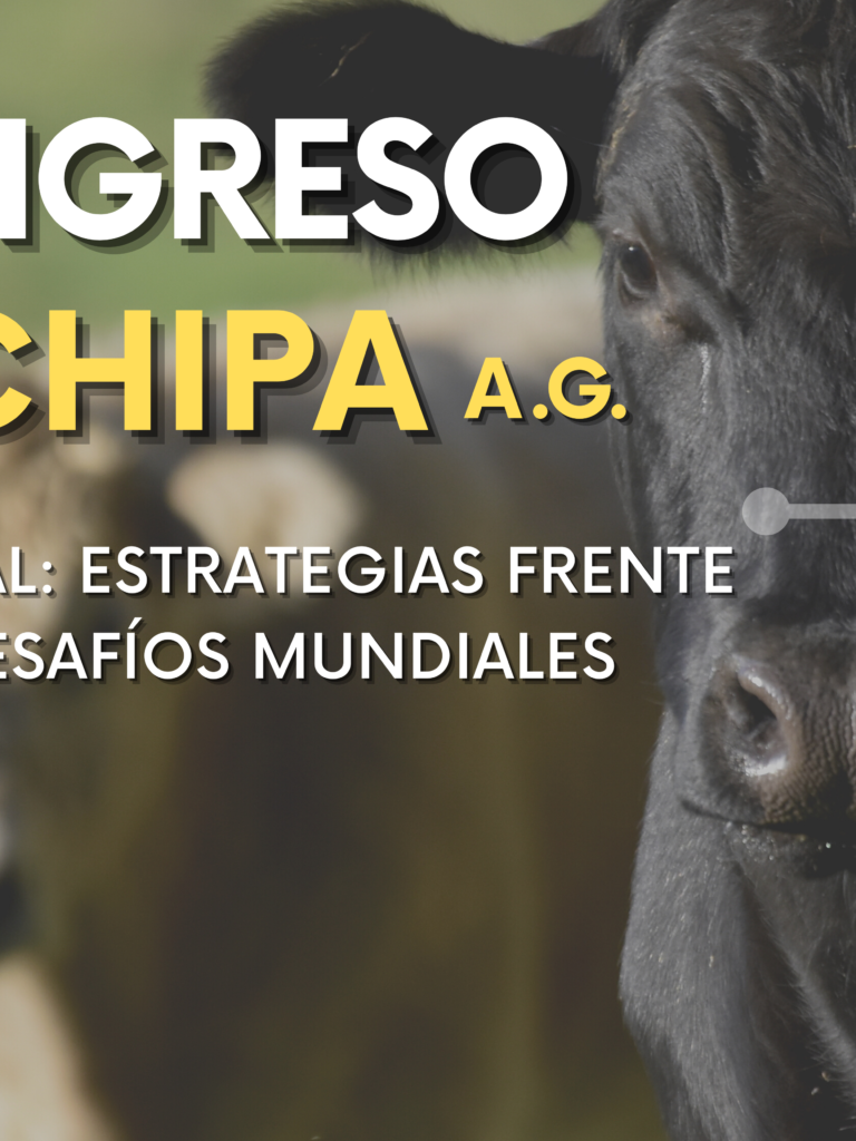 banner-congreso-sochipa